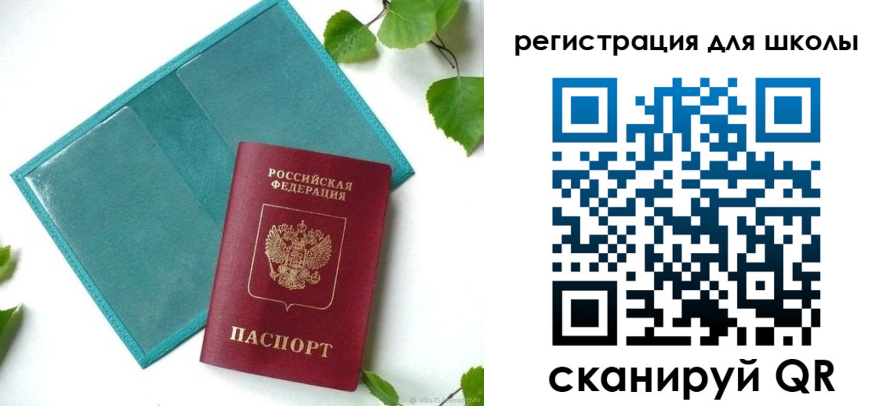 прописка регистрация в Сафоново